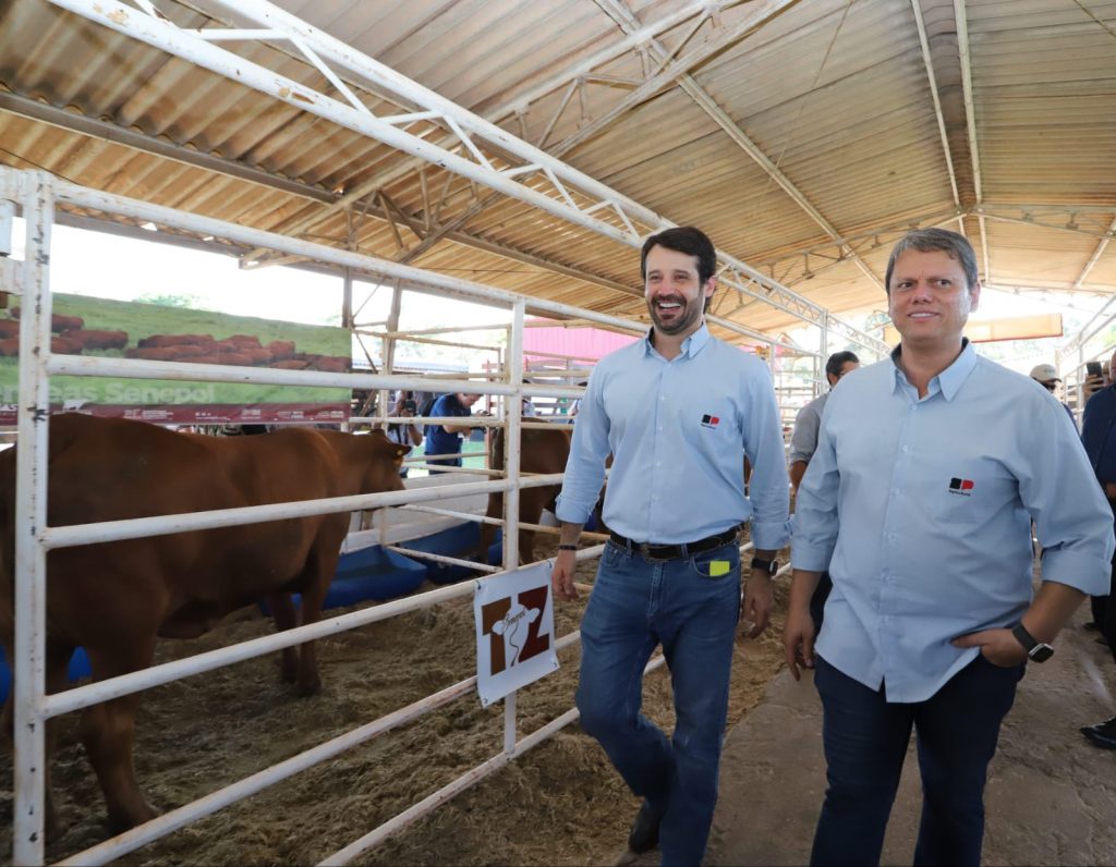 SP apresenta pacote para pecuária e autoriza 630 moradias para quilombolas e produtores